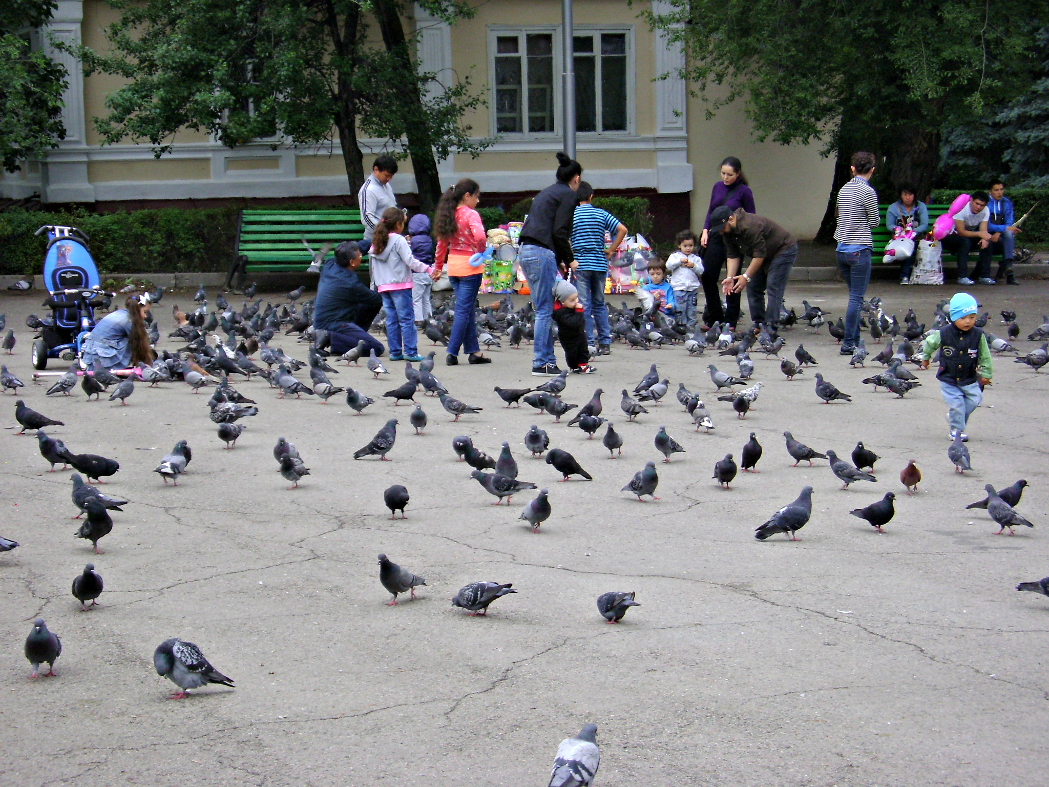 dsc04832
