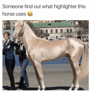 Screen Shot 2019-04-13 at 20.18.30